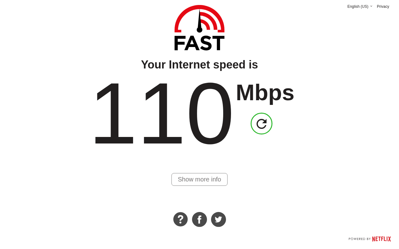 fast.com speed test showing 110 Mbps